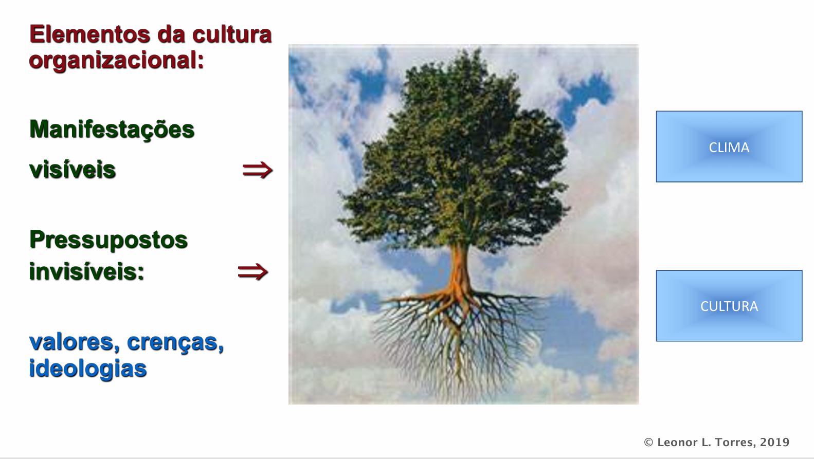 Gestão e Cultura Organizacional